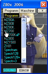 The computer system selection screen