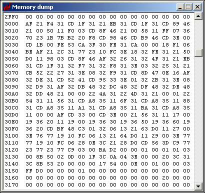 The memory dump window