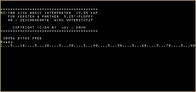 Screenshot of the 80-column screen